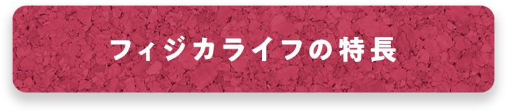 フィジカライフの特長