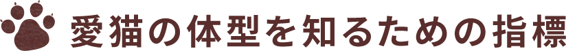 愛猫の体型を知るための指標