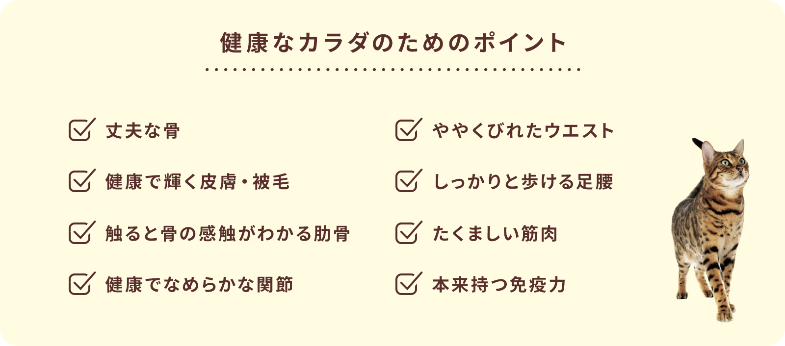 健康なカラダのためのポイント