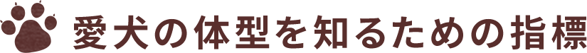 愛犬の体型を知るための指標