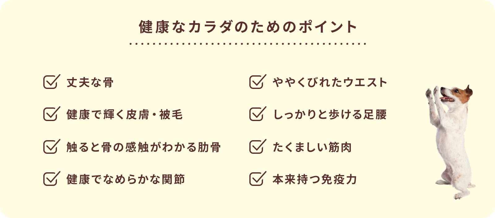 健康なカラダのためのポイント