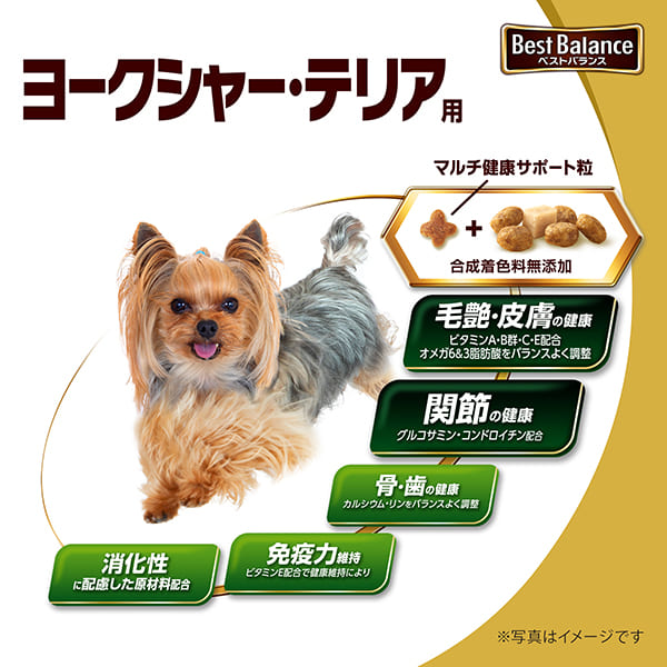 愛犬のゴハン、みんな同じでいいのかな？