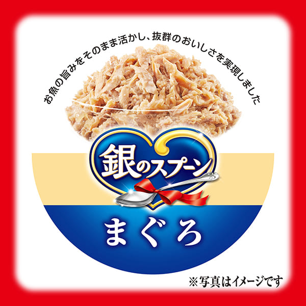 銀のスプーン缶10歳頃から　まぐろ