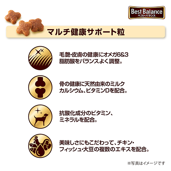 柴犬　10歳以上用